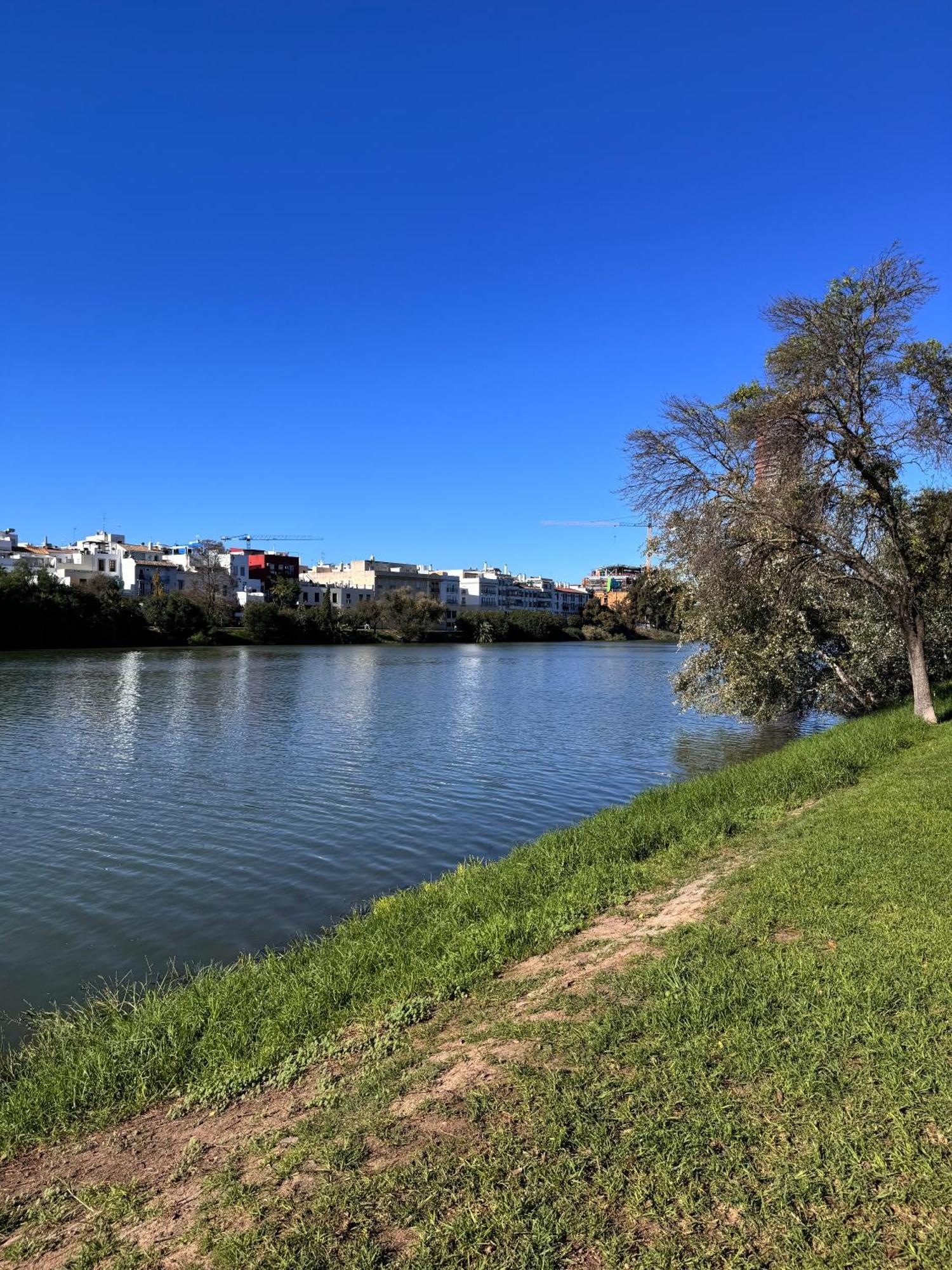 Luca Oliva Homes Riverside Studio Seville Exterior photo